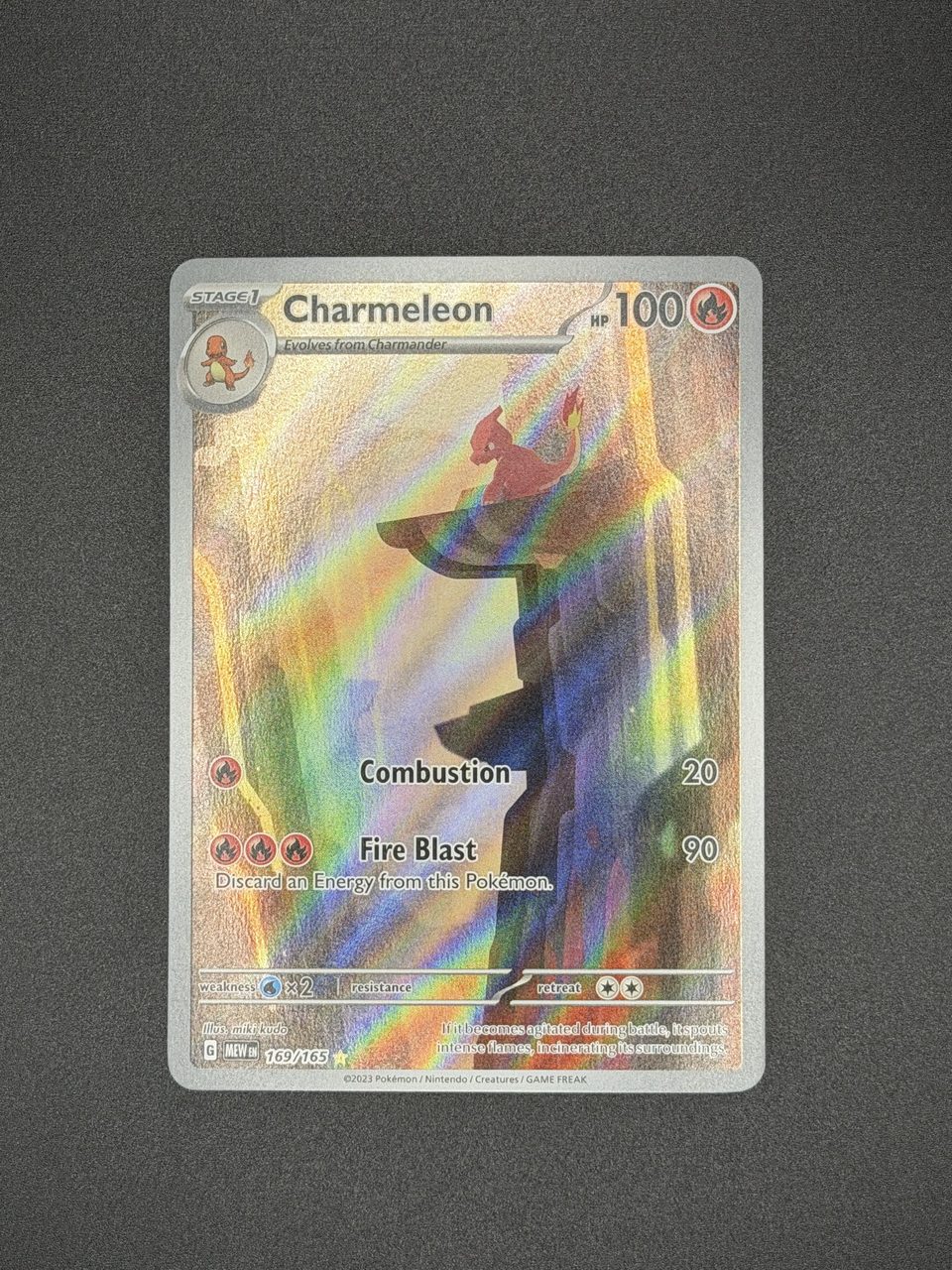 Charmeleon view 2