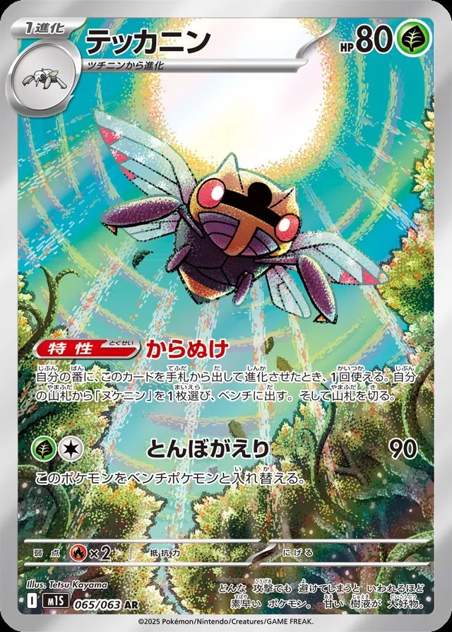 Ninjask — widok 1
