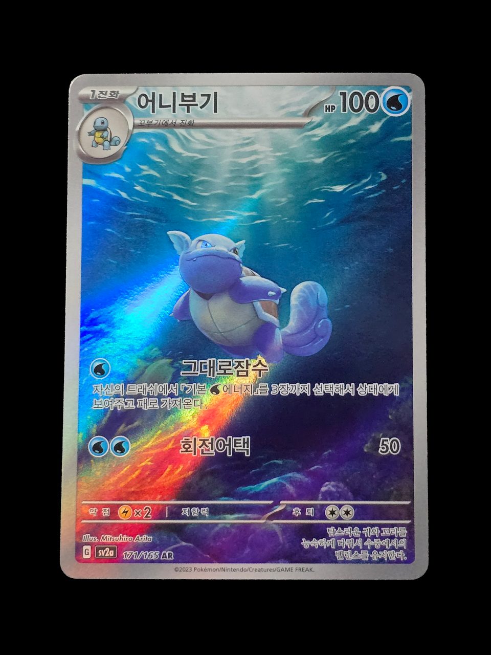 Wartortle — widok 1